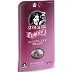 Snow Piercer Feminisierte Hanfsamen, 3 Samen