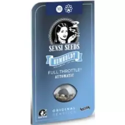 Full Throttle Automatic Hanfsamen, 3 Samen