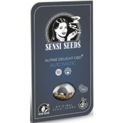 Alpine Delight CBD Automatische Hanfsamen, 3 Samen