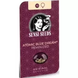 Atomic Blue Dream Feminisierte Hanfsamen, 3 Samen