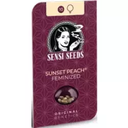 Sunset Peach Feminisierte Hanfsamen, 3 Samen