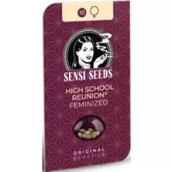 High School Reunion Feminisierte Hanfsamen, 3 Samen