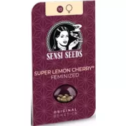 Super Lemon Cherry Feminisierte Hanfsamen, 3 Samen
