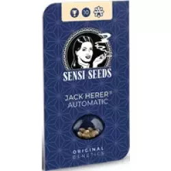 Jack Herer Automatic Hanfsamen, 3 Samen