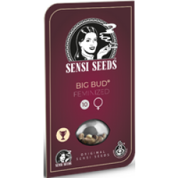 Big Bud Feminisierte Hanfsamen, 1 Samen