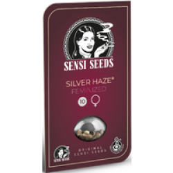 Silver Haze Feminisierte Hanfsamen, 1 Samen