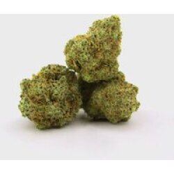 🪐 space grown ORBITZ  9% CBD by Marvin Game