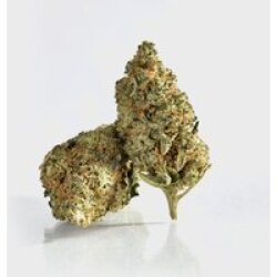 🍒 Cherry Calussi 14% CBD