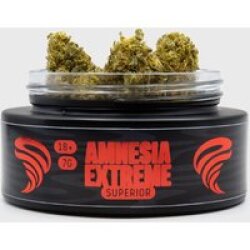 🔥 Amnesia Extreme
