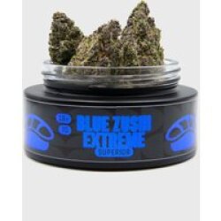 🌊🍣 Blue Zushi Extreme