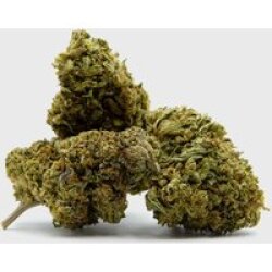 🏆 NEU 🏆 Sherblato Berry - Cali Deluxe