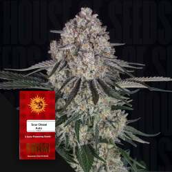 Sour Diesel Auto - Barney's Farm