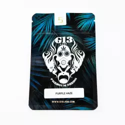 G13 Labs Purple Haze 5er Pack