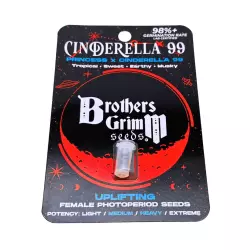 Brothers Grimm Seeds Cinderella 99 3 Stück