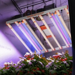 Spider Farmer UV60 &amp; IR30 LED-Pflanzenlichtleisten-Set (90 cm) – UV-Infrarot-Ergänzung für Pflanzen