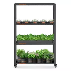 Spider Farmer 3-stöckiger Pflanzenständer aus Metall mit Pflanzenschalen