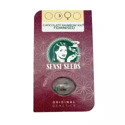 Sensi Seeds Chocolate Rainbow XXL 3er Pack