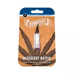 Humboldt Seed Co. Blueberry Muffin 3er Pack