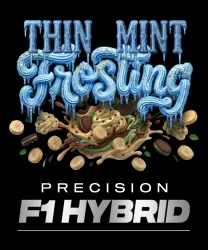 Barneys Farm Thin Mint Frosting F1 3er Packung + 3er Gift Pack gratis dazu