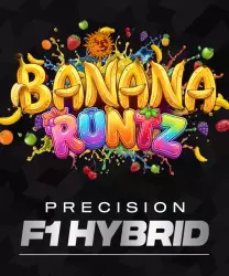 Barneys Farm Banana Runtz F1 3er Packung + 3er Gift Pack gratis dazu