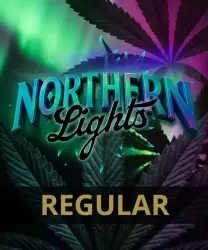 Barneys Farm Northern Lights Regular 5er Packung + 5er Gift Pack gratis dazu
