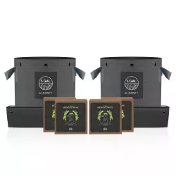 AC Infinity Kokos Komplett Set