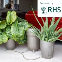 AutoPot Khloris Bewässerungssystem für 2 Pflanzen, sage