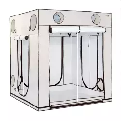 HOMEbox Ambient Q200+ Growbox 200x200x220cm