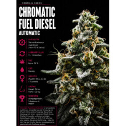 Criminal Seeds Chromatic Fuel Diesel Auto Fem 3St.