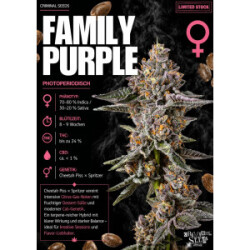 Family Purple feminisiert Criminal Seeds 3er Pack