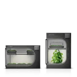 AC Infinity Cloudlab 322K Advance 60x60x90 cm Anzucht Grow Zelt