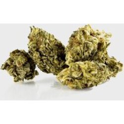 🫐 Blue Fritters 15% CBD